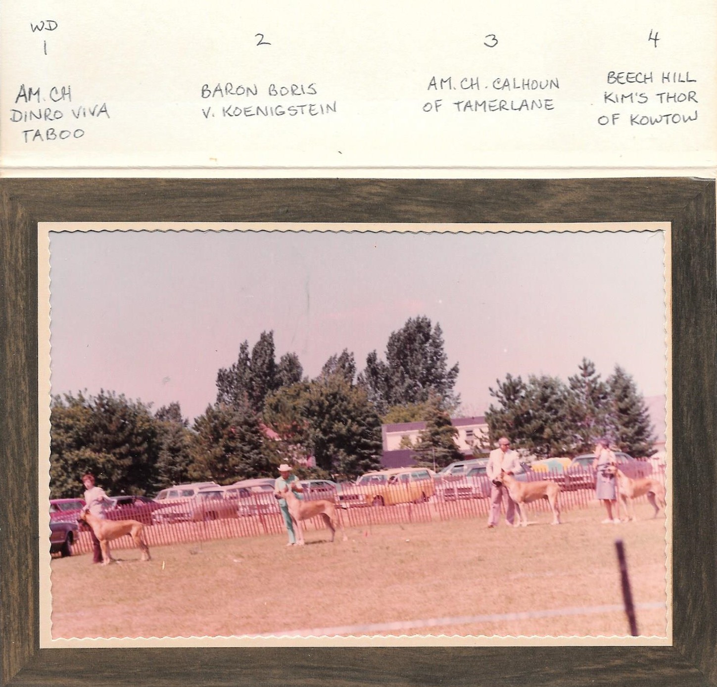 Barrie 1973